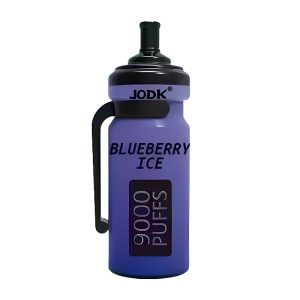 JODK Bottle Einweg-Vape 9000 Puffs _ Blueberry Ice