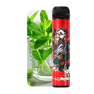 MIKU Einweg Vape 3000 Puffs _ Minze