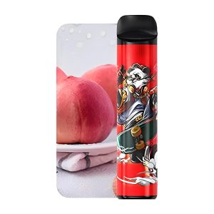 MIKU Einweg-Vape 3000 Puffs _ Pfirsich