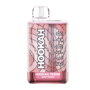 ELF BAR Hookah TE5000 Disposable Juicy Peach 5000 Züge 13,5 ml