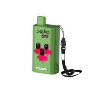 RandM Squid Box 5200 Züge Big Bang Fruit 12ml Einweg E-zigarette