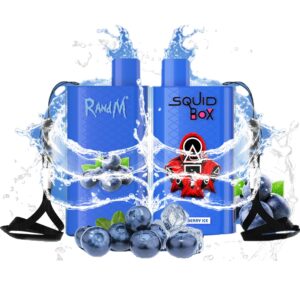 RandM Squid Box 5200 Züge 12ml Einweg E-zigarette Blueberry Ice