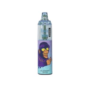 RandM Tornado 7000 Züge Einweg E-zigarette Blueberry On Ice 14ml