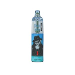 RandM Tornado 7000 Züge 14ml Einweg E-zigarette Cool Mint