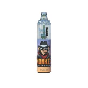 RandM Tornado 7000 Züge Einweg E-zigarette 14ml Grape Ice