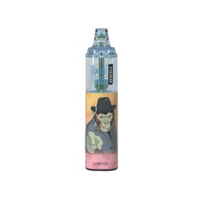 RandM Tornado 7000 Züge Einweg E-zigarette 14ml Lush Ice