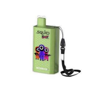 RandM Squid Box 5200 Züge Einweg E-zigarette Tobacco Cream 12ml